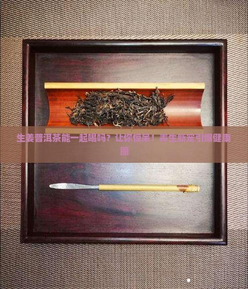 生姜普洱茶能一起喝吗