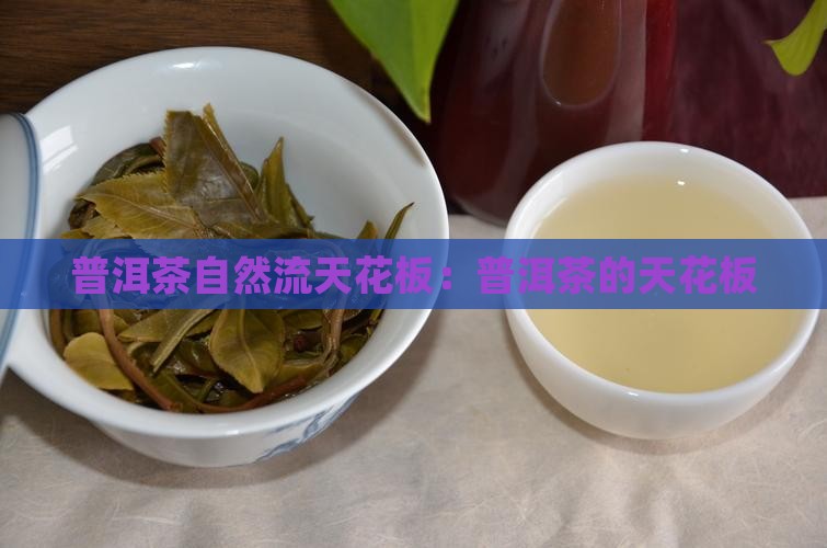 普洱茶自然流天花板