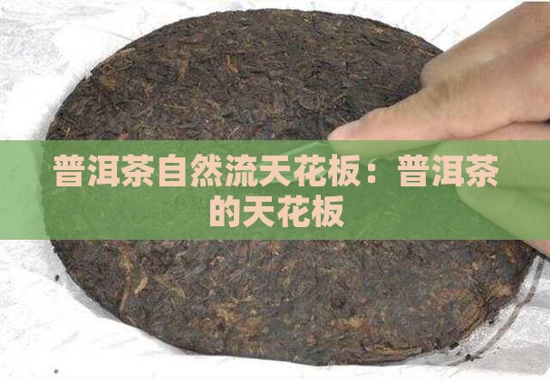 普洱茶自然流天花板