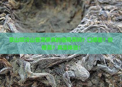 景山哎冷山普洱茶特点