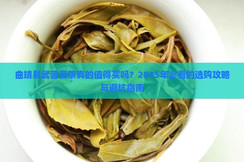 曲靖易武普洱茶