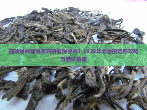 曲靖易武普洱茶