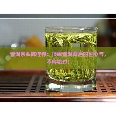 普洱茶头陈佳伟