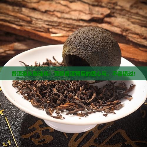 普洱茶头陈佳伟