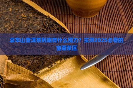 哀牢山普洱茶有哪些特点