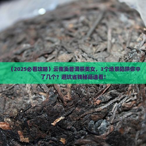 云南卖普洱茶美女