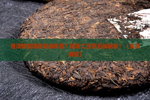 普洱茶的晒青是怎样的