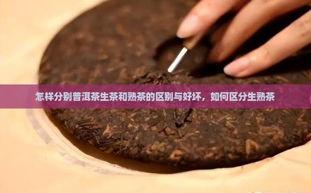 怎样分别普洱茶生茶和熟茶