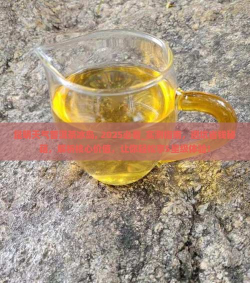 昆明天气普洱茶冰岛
