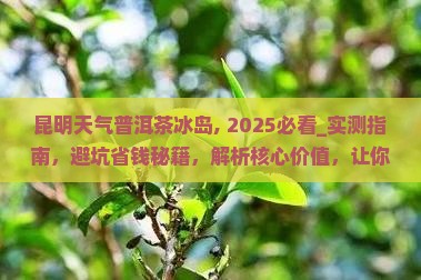昆明天气普洱茶冰岛