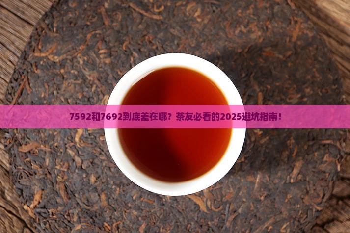 大益茶7592和7692的区别