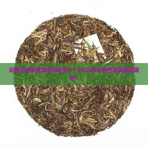 云南大益茶普洱茶价格多少