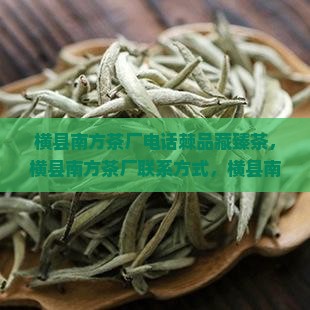 横县南方茶厂电话棘品藏臻茶