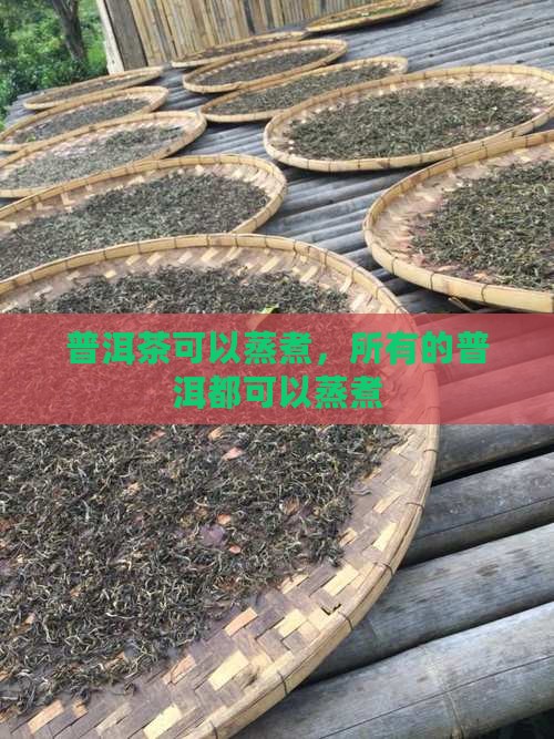 所有的普洱茶都能蒸煮
