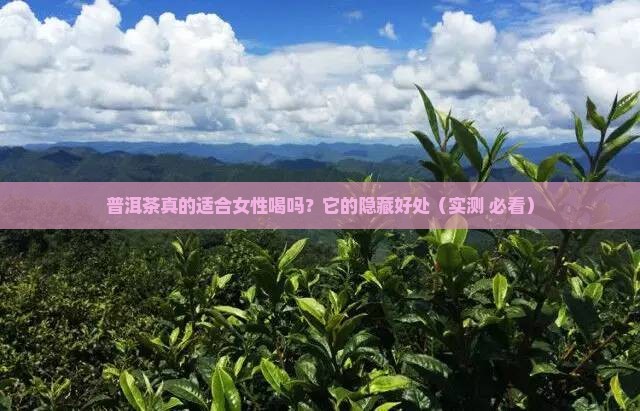普洱茶喝喝女性有什么好处
