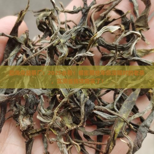 勐海众益茶厂官网