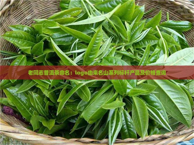 老同志普洱茶命名
