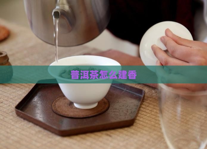 普洱茶怎么建香