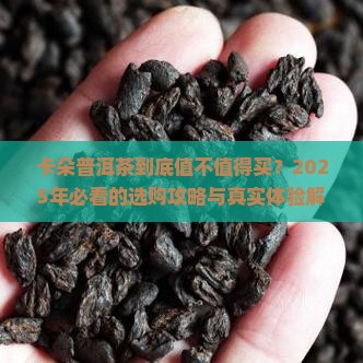 卡朵普洱茶介绍