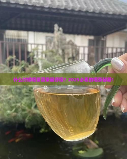 多长时间喝普洱茶比较好