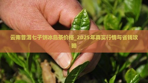 云南普洱七子饼冰岛茶价格