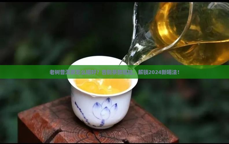 西藏老树普洱茶怎么喝好