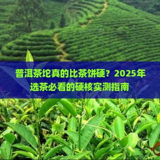 普洱茶坨比茶饼硬