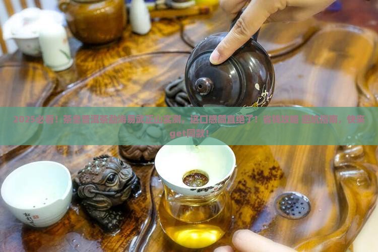 茶皇普洱茶勐海易武正山