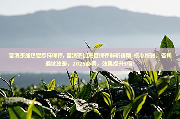 普洱茶加热管怎样保存