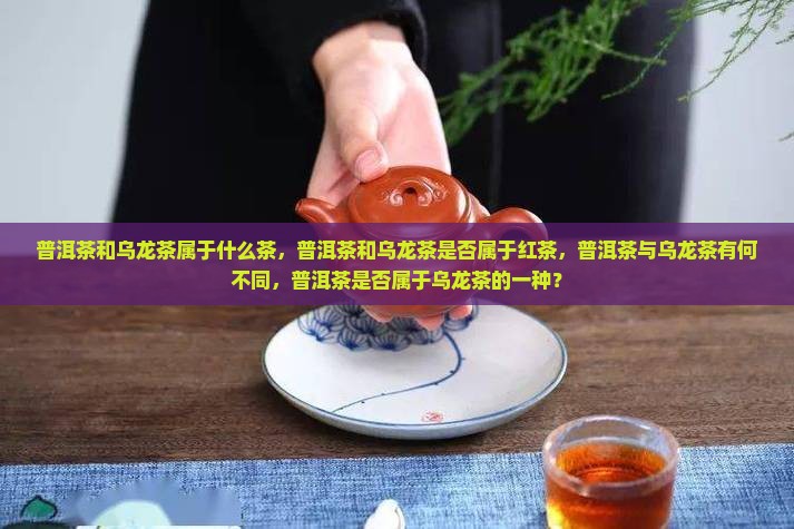 普洱茶和乌龙茶属于 普洱茶和乌龙茶属于