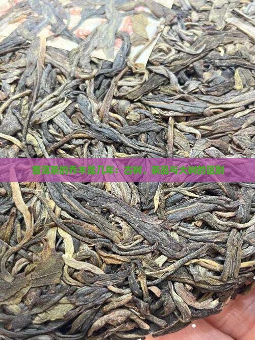 普洱茶的乔木是几年