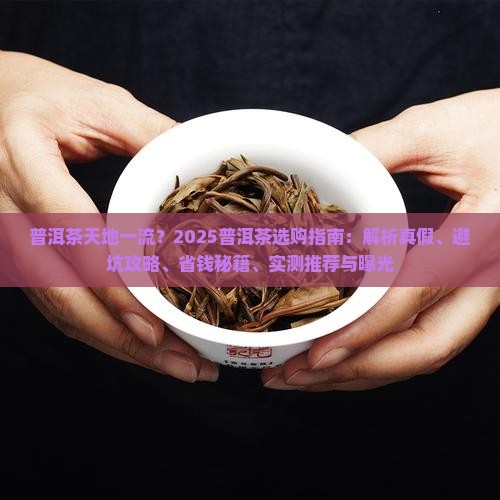 普洱茶天地一流