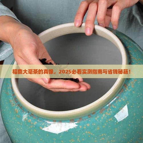 福鼎大毫茶的特点