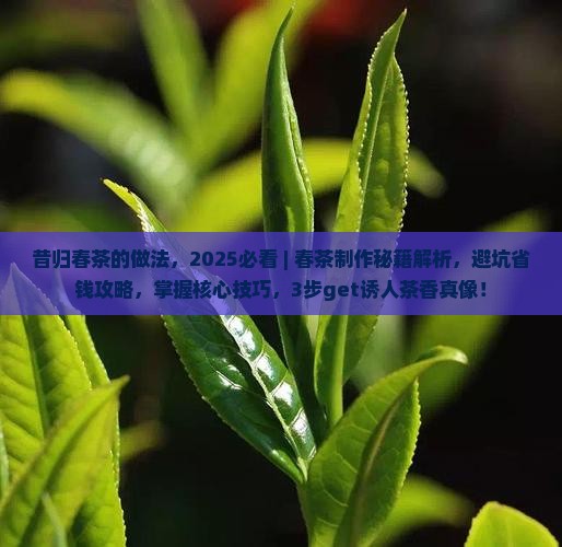 昔归春茶的做法