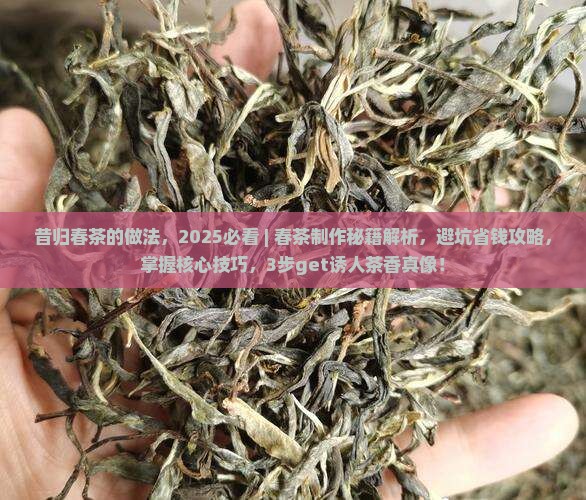 昔归春茶的做法