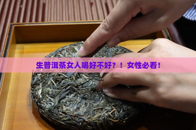 生普洱茶女人喝好不好