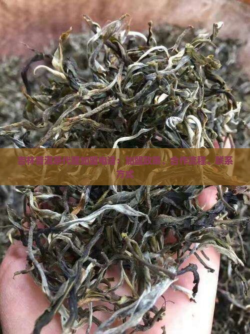 吉林普洱茶代理加盟电话
