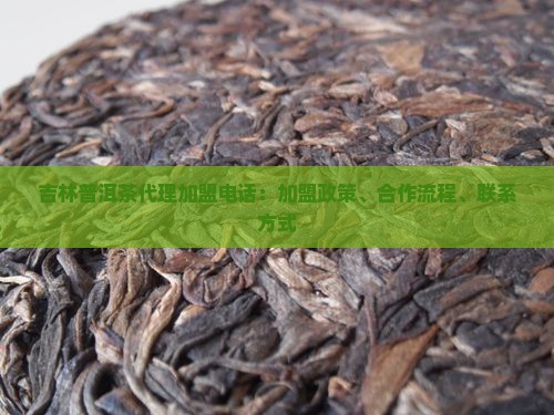 吉林普洱茶代理加盟电话