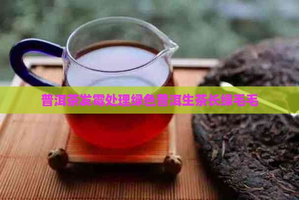 生茶普洱茶长绿毛毛