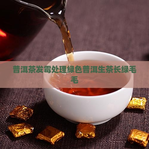 生茶普洱茶长绿毛毛