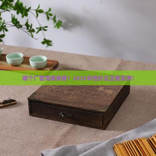 哪个厂普洱茶性价比高一点