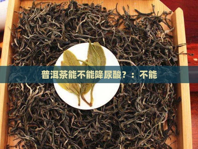 普洱茶能不能降尿酸
