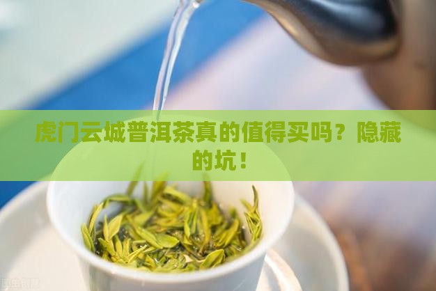 虎门云城普洱茶