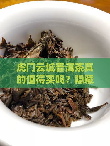 虎门云城普洱茶