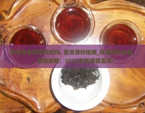 鲁波是老班章村的吗
