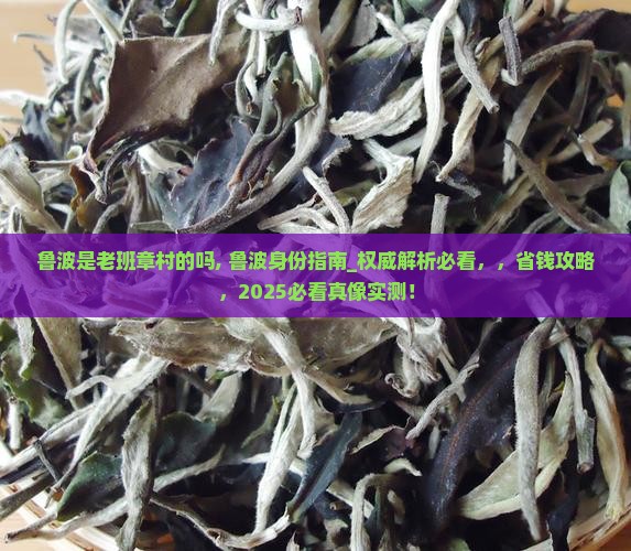 鲁波是老班章村的吗