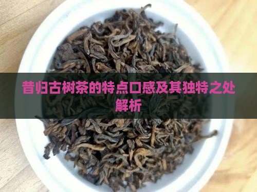 昔归古树茶的特点口感
