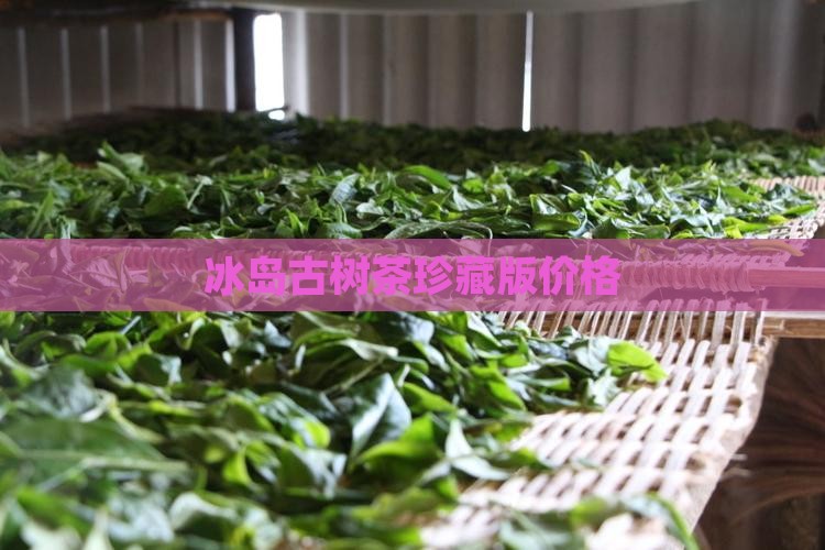 冰岛古树茶珍藏版价格