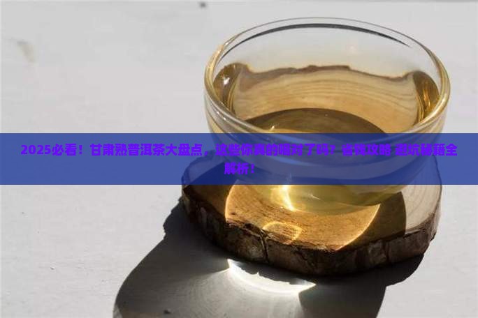 甘肃熟普洱茶有哪些