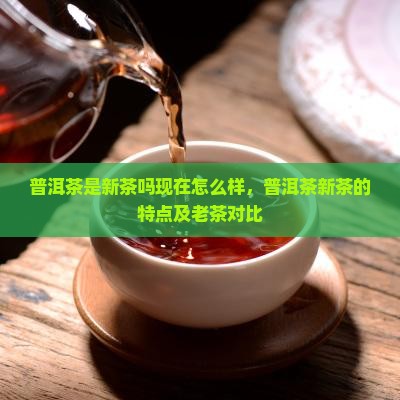 普洱茶是新茶吗现在怎么样